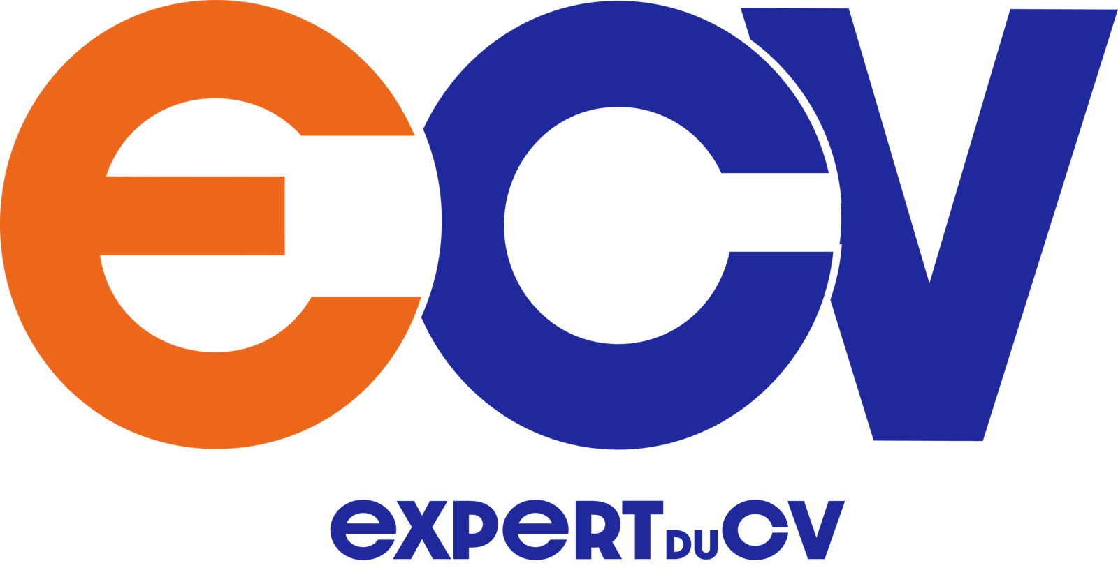Expert du CV